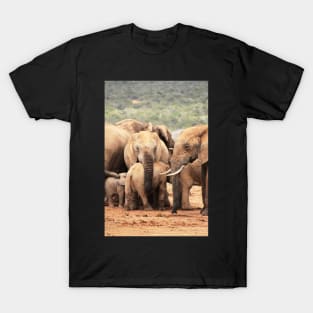 African Wildlife Photography Elephant Bodyguard T-Shirt